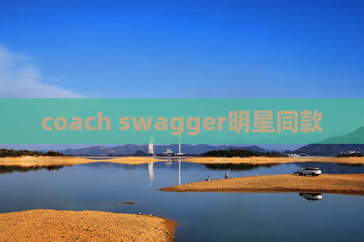 coach swagger明星同款